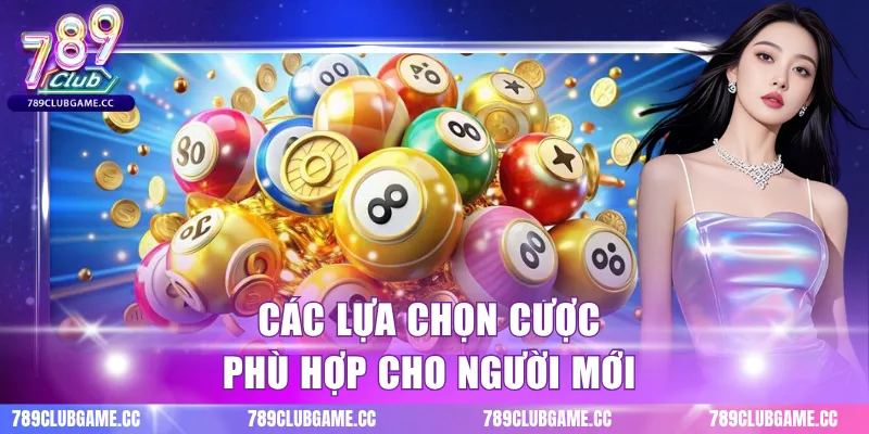 Các lựa chọn cược phù hợp cho người mới