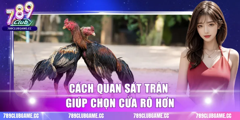 Cách quan sát trận giúp chọn cửa rõ hơn