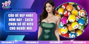Cầu Đề Đẹp Nhất Hôm Nay - Cách Chọn Số Dễ Hiểu Cho Người Mới