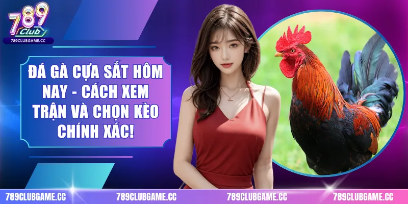 Đá Gà Cựa Sắt Hôm Nay - Cách Xem Trận Và Chọn Kèo Chính Xác!