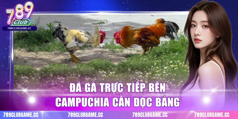 Đá gà trực tiếp bên Campuchia cần đọc bảng