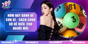 Hôm Nay Đánh Đề Con Gì - Cách Chọn Số Dễ Hiểu, Cho Người Mới
