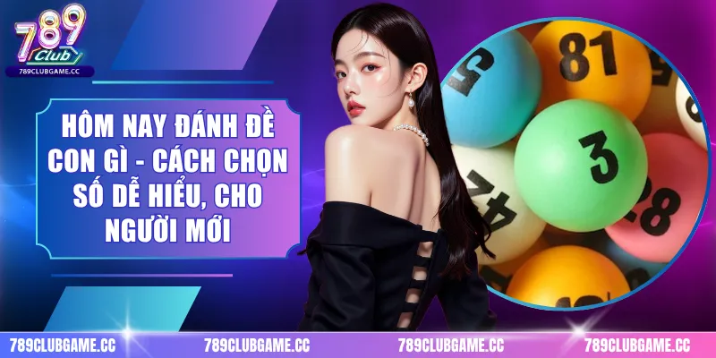 Hôm Nay Đánh Đề Con Gì - Cách Chọn Số Dễ Hiểu, Cho Người Mới
