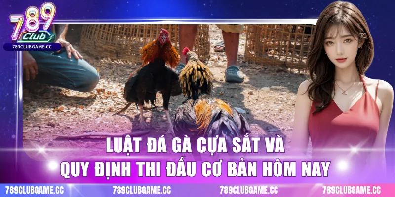 Luật đá gà cựa sắt và quy định thi đấu cơ bản hôm nay