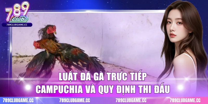Luật đá gà trực tiếp Campuchia và quy định thi đấu