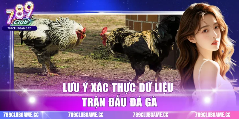 Lưu ý xác thực dữ liệu trận đấu đá gà