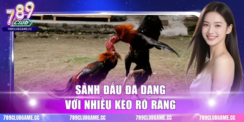 Sảnh đấu đa dạng với nhiều kèo rõ ràng