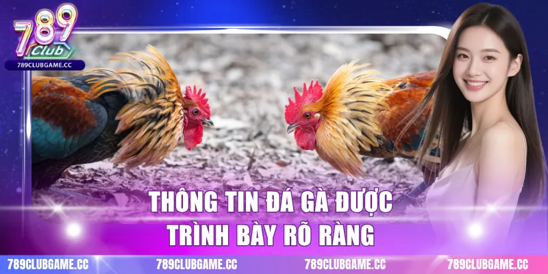 Thông tin đá gà được trình bày rõ ràng
