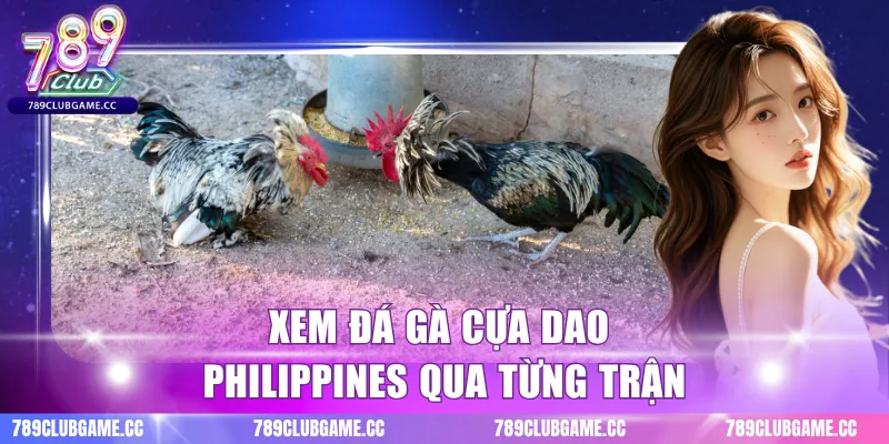 Xem đá gà cựa dao philippines qua từng trận